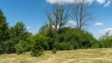 Prodej stavebního pozemku 823 m², Zbenice