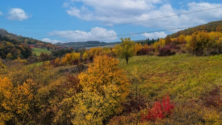 Prodej specifického pozemku 3 334 m², Osvětimany