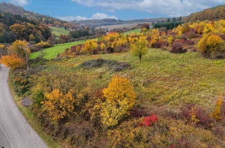 Prodej specifického pozemku 3 334 m², Osvětimany