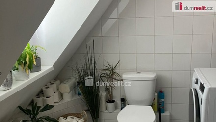 Pronájem bytu 5+kk 91 m², Opava