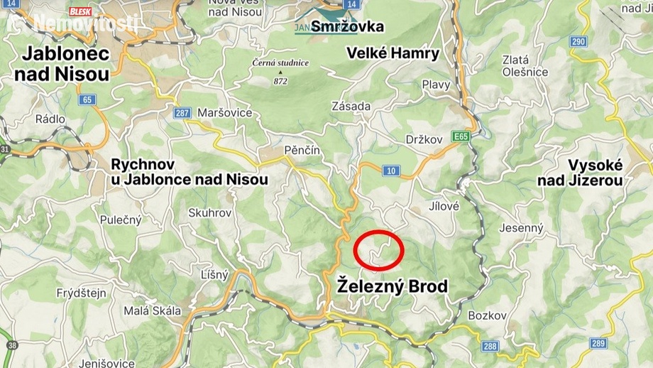 Prodej louky 7 359 m², Železný Brod - Střevelná