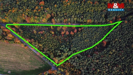 Prodej lesa 26 435 m², Luže