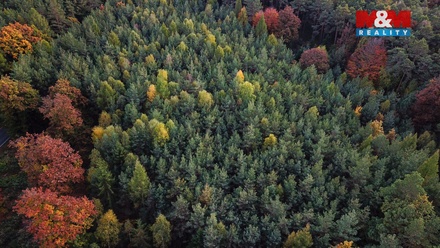 Prodej lesa 26 435 m², Luže