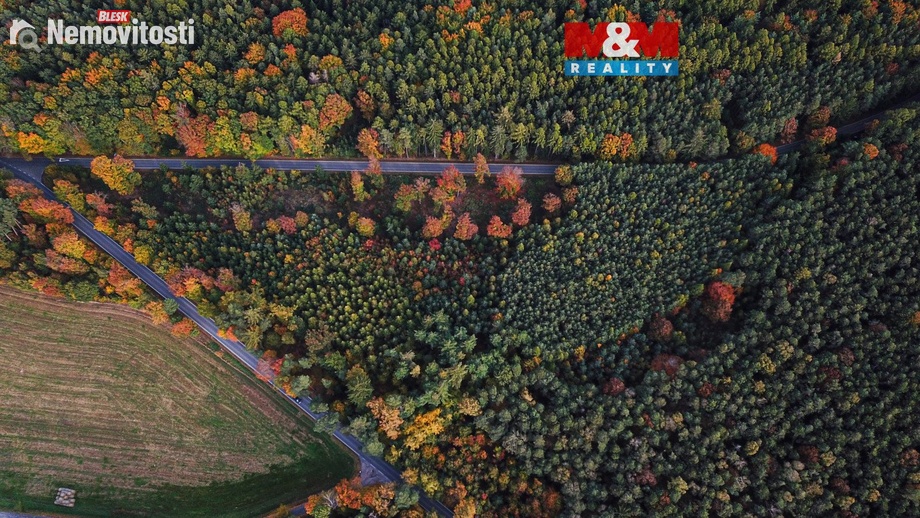 Prodej lesa 26 435 m², Luže