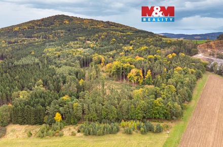 Prodej lesa 39 171 m², Ježovy