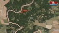 Prodej lesa 12 446 m², Černíkov