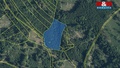 Prodej lesa 12 446 m², Černíkov
