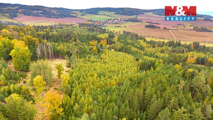 Prodej lesa 12 446 m², Černíkov