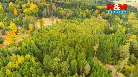 Prodej lesa 12 446 m², Černíkov