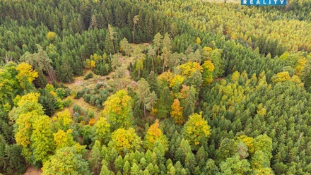 Prodej lesa 12 446 m², Černíkov