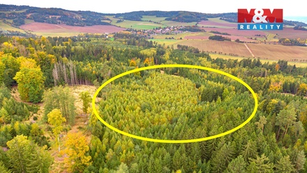 Prodej lesa 12 446 m², Černíkov