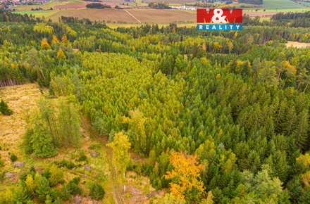 Prodej lesa 12 446 m², Černíkov