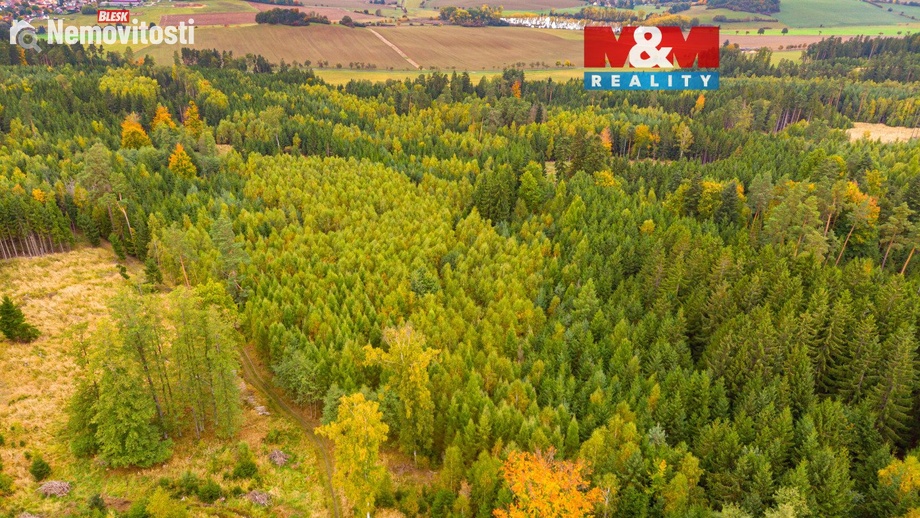 Prodej lesa 12 446 m², Černíkov