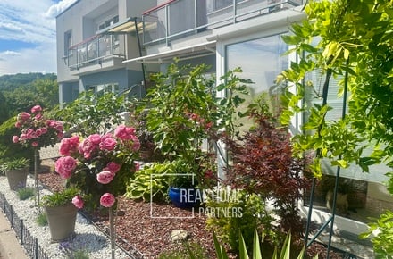 Prodej bytu 2+kk 54 m², Brno - Žabovřesky