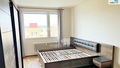 Pronájem bytu 1+1 39 m², Plzeň