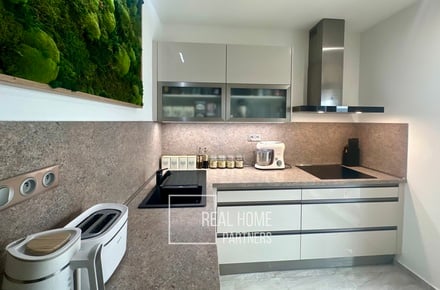 Prodej bytu 1+1 54 m², Brno - Žabovřesky