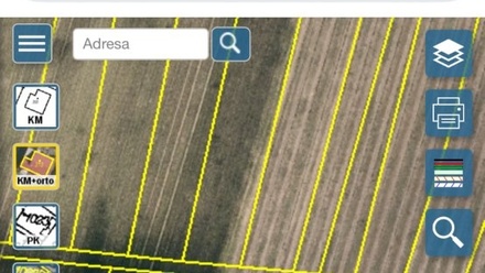 Prodej specifického pozemku 8 393 m², Nechvalín