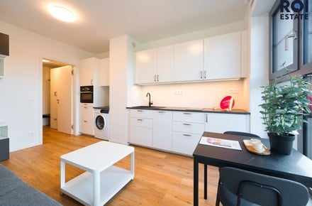 Pronájem bytu 1+kk 23 m², Brno - Zábrdovice