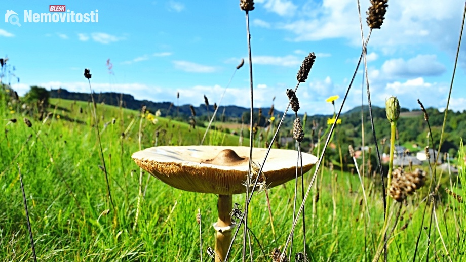 Prodej stavebního pozemku 5 229 m², Hnátnice