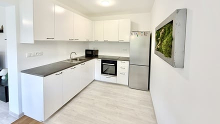 Pronájem bytu 2+kk 59 m², Žamberk