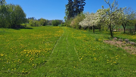 Prodej stavebního pozemku 4 705 m², Mirovice