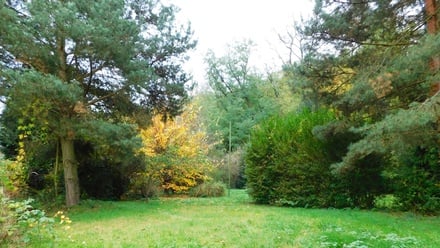 Prodej zahrady 482 m², Dyje