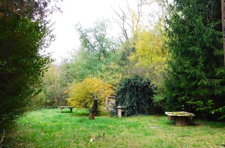 Prodej zahrady 482 m², Dyje