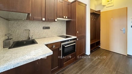 Pronájem bytu 1+kk 32 m², Plzeň - Jižní Předměstí