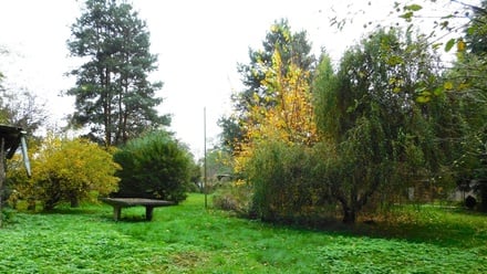 Prodej zahrady 387 m², Dyje