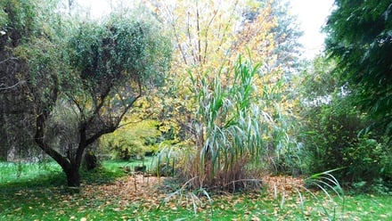 Prodej zahrady 387 m², Dyje