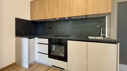 Pronájem bytu 3+kk 65 m², Ostrava - Vítkovice