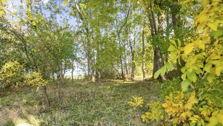 Prodej chalupy 75 m², Ústup