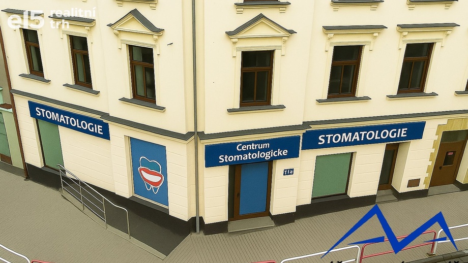 Prodej komerční nemovitosti 150 m², Český Těšín