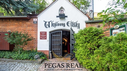 Prodej komerční nemovitosti 1 133 m², Brno - Staré Brno