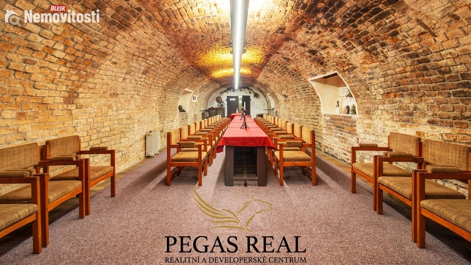 Prodej komerční nemovitosti 1 133 m², Brno - Staré Brno