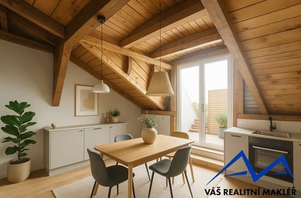 Prodej atypického bytu 202 m², Český Těšín