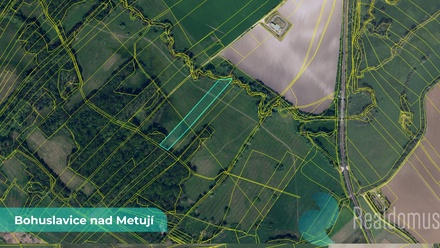 Prodej specifického pozemku 43 749 m², Bohuslavice