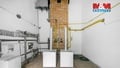 Prodej obchodního prostoru 1 029 m², Nýřany