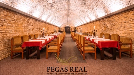 Pronájem restaurace 566 m², Brno - Staré Brno