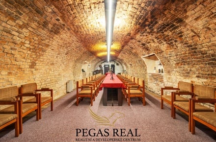 Pronájem komerční nemovitosti 566 m², Brno - Staré Brno