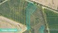 Prodej specifického pozemku 11 561 m², Tučapy