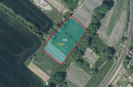 Prodej zahrady 3 078 m², Sulejovice