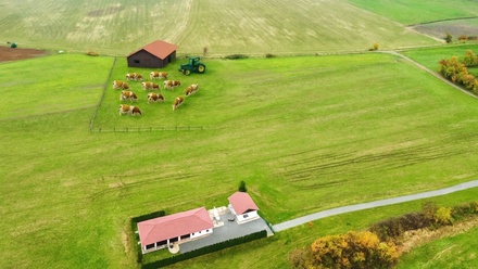 Prodej pole 15 909 m², Dolní Roveň