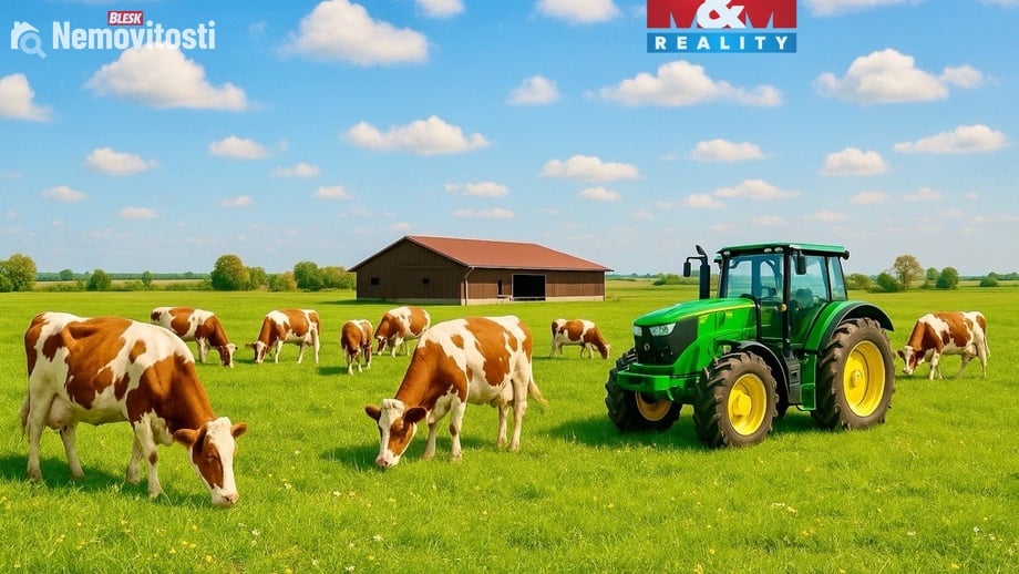 Prodej pole 15 909 m², Dolní Roveň