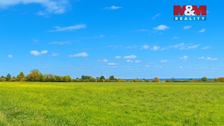 Prodej pole 6 671 m², Dolní Roveň