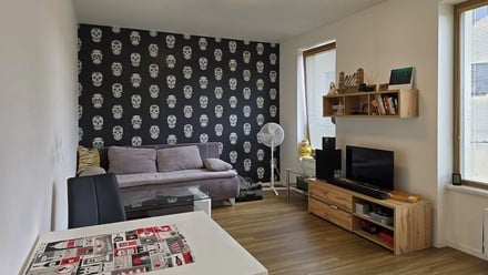 Pronájem bytu 1+kk 31 m², Plzeň - Východní Předměstí