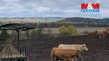 Prodej stavebního pozemku 3 913 m², Jabloňany