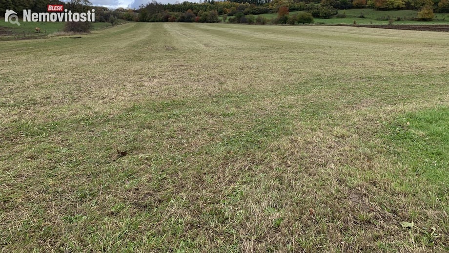 Prodej stavebního pozemku 3 913 m², Jabloňany