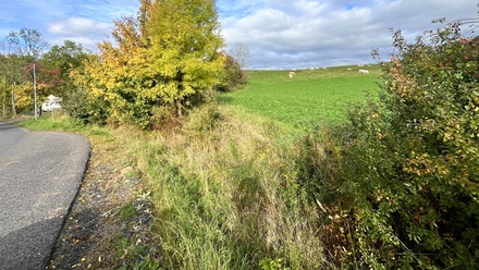 Prodej stavebního pozemku 560 m², Malšovice