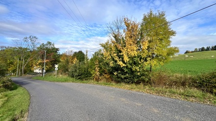 Prodej stavebního pozemku 560 m², Malšovice